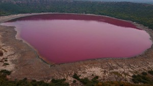 Neuveriteľný jav. Jazero sa sfarbilo do ružova, vedci dôvod nevedia