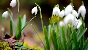 Tento týždeň bude teplo. Ortuť teplomeru sa vyšplhá vysoko