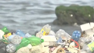 Plastový odpad zabíjal v zátoke, ktorú preslávil DiCaprio. Utopil sa žralok