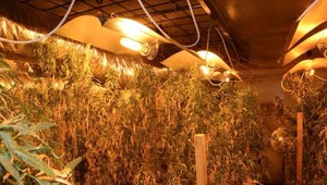 AUTENTICKÉ VIDEO: Policajná razia v hlavnom meste. Muž mal viac ako 1200 tabliet extázy