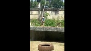 Muž chcel byť krotiteľom levov. Vošiel do jeho výbehu, kde zviera zaútočilo a usmrtilo ho