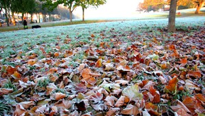 Čaká nás netypicky teplý víkend. Vietor so sebou prinesie "fénový efekt"
