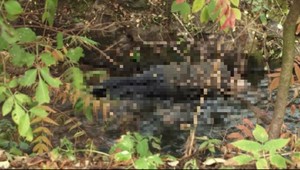 Ján (†85) skončil v potoku, pomoc si privolať nedokázal