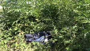 Žena (53) so sečnou ranou na hlave ležala v kríkoch niekoľko dní