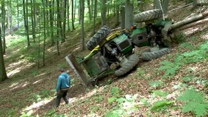 Odsúdeného väzňa privalil kmeň stromu