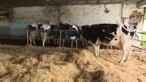 EÚ a Mercosur spojili sily: Európski farmári však bijú na poplach