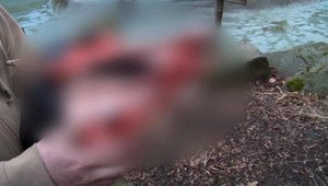 ZOO sa chce kvôli uhynutému plameniakovi súdiť s rodičmi chlapcov