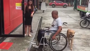 VIDEO: Pes pomáha svojmu chorému majiteľovi. Tlačí ho na vozíku
