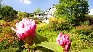 Právnik radí. Takto sa stanete právoplatným majiteľom pozemku