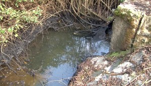 Zápach a čierne škvrny na hladine potoka zalarmovali rybárov. Polícia začala trestné stíhanie