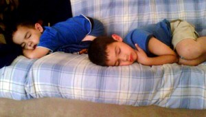 Pytón zaškrtil dvoch spiacich chlapcov (†5, †7)