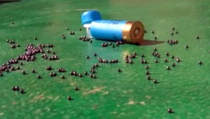 Pes v Rusku postrelil svojho pána pri ceste na lov. Muž na následky zranení zomrel