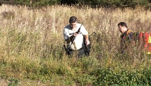 Zatiaľ čo on hľadal huby, jeho si našiel medveď