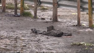 Zamrznutú ženu niekto pred smrťou zbil a znásilnil!