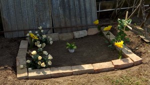 Majiteľ ťahal psa za autom. Ten to neprežil