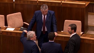 Zákon o sociálnoprávnej ochrane detí zamestnal poslancov NR SR