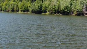 Záchrana sa zmenila na tragédiu. Polícia našla opustené dieťa, rodičia zmizli bez stopy