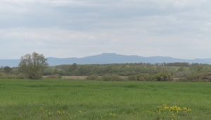 Zemplín zasiahlo zemetrasenie: Ľudia počuli silné zvuky a cítili otrasy