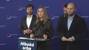 Priebeh zásahu pripomínal demonštráciu sily a poníženie mojej osoby, hovorí Šubová o policajnom zásahu