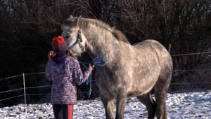 Výbuchy petárd a hlučné oslavy pripravili smutné narodeniny pre Luciu (12). Jej koník šok nevydržal