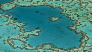 Austrálsky koralový útes zomiera