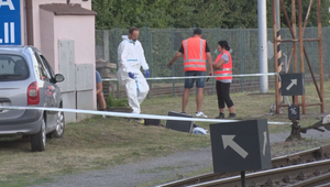 Železničiarke zlomil sánku, kľúčnu kosť a nechal ju ležať v kaluži krvi. Súd mu vymeral 5 rokov