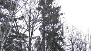 Púchovská samospráva chce zrekonštruovať športové ihrisko, obyvateľov okolitých bytoviek to pobúrilo