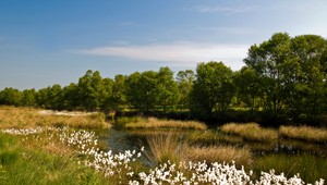 Slnečné a teplé dni pokračujú. Kedy nás prekvapí zmena?