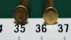 Namiesto svine trafil syna?!