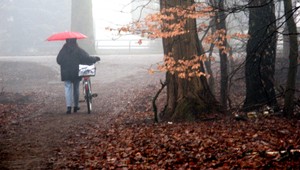 Nastupuje skutočná jeseň, s hmlou a dažďom