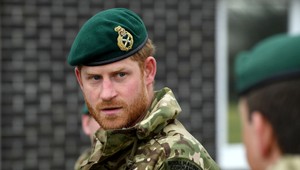 Nesie Harry vinu na poprave Brita v Iráne?! Je to hlupák, hromžia hodnostári!