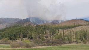 Hasiči zasahovali pri rozsiahlom lesnom požiari. Na mieste využili aj vrtuľník