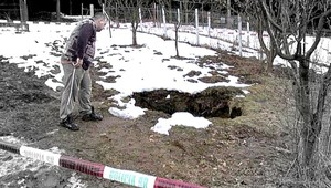 Zmizol strom, nikto nevie, kam...