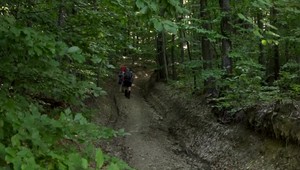 Horel prales zapísaný v UNESCO. Zrejme ho spôsobil turista špakom od cigarety