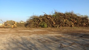 Žiadal vyrúbať päť stromov, namiesto nich padli stovky. Škody na chránenom území rieši polícia