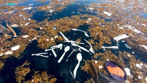 Plastová taška v hĺbke 10 000 metrov. Plasty sú už aj v Mariánskej priekope