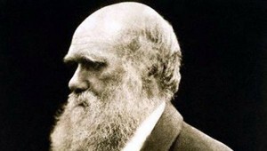 Najbizarnejšie úmrtia roku 2018. Prvé miesto patrí misionárovi