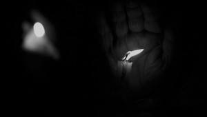 Zomrela hviezda filmu Kill Bill a mnohých iných. Je za tým covid!