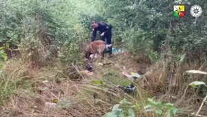 Expriateľku znásilnil, bodol a zhodil z útesu. Akoby zázrakom sa jej podarilo prežiť