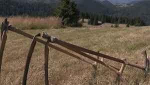 Unikátna lúka je pokosená. Na tradičné ručné kosenie nezavrhli praví nadšenci