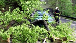 Ženu za volantom (30) takmer zabil padajúci strom