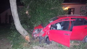 Mladíka (18) pod vplyvom alkoholu zastavil až náraz do stromu