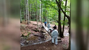 Našli ho vyčerpaného a podchladeného. Nelegálny migrant žil v lese na východe Slovenska asi mesiac