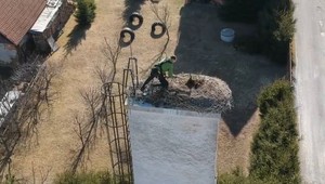 Prílet bocianov je predzvesťou jari. Predtým ale treba ich hniezda vyčistiť