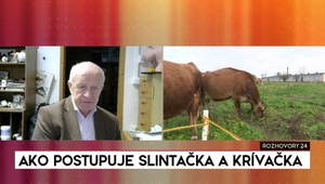 Rozhovory 24: Ako postupuje slintačka a krívačka