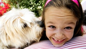 Teplá zima zvieratám nevadí, i keď...