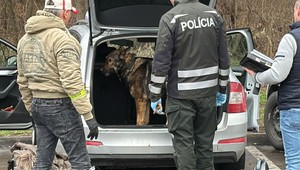 Akcia v Malackách: Polícia zadržala podozrivé osoby z drogovej činnosti