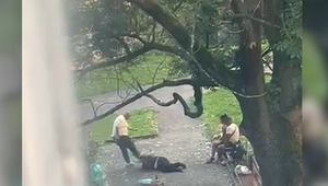 Brutálny útok v parku: Ženu kopali do hlavy, svedok to natočil na video