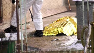 Mŕtvy 90-ročný dôchodca ležal na dvore. Mal rezné rany a neďaleko neho ležal nôž