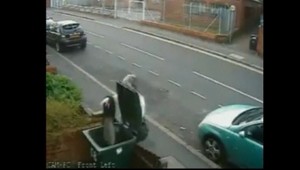 Bezcitná ženská! Úbohé mača hodila do smetiaka :(